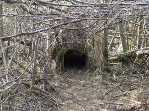 Lebendfalle Fallenjagd