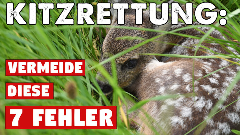 Fehler bei der Kitzrettung