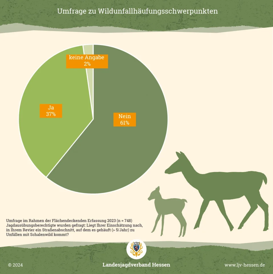 Umfrage zu Wildunfallhäufungsschwerpunkten in Hessen