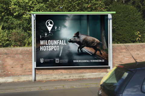 Plakat Wildunfall-Hotspot